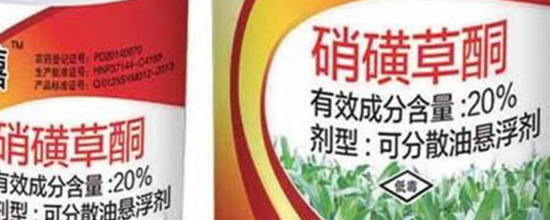硝磺草酮的作用