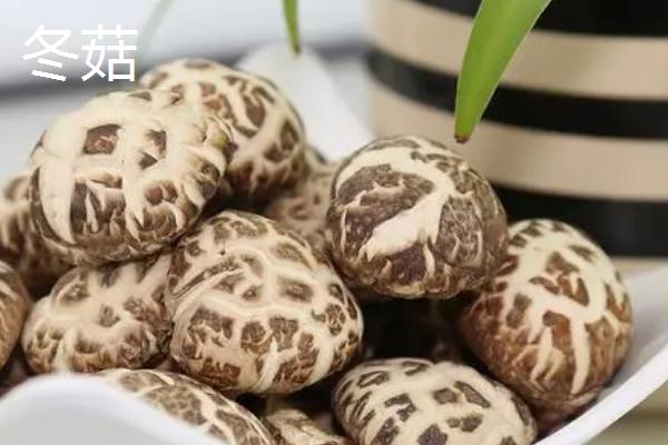 香菇产量低是什么原因导致的，在民间素有“山珍”之称