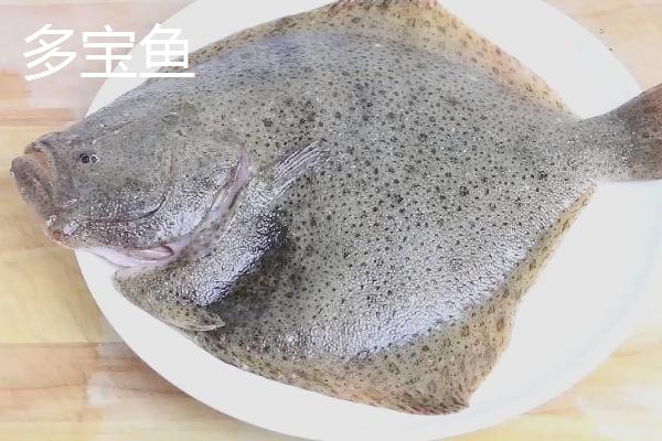 偏口鱼的价格，种类繁多价格不等