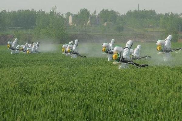 洪涝灾害对农业有什么影响，作物受害时产量和品质均会下降