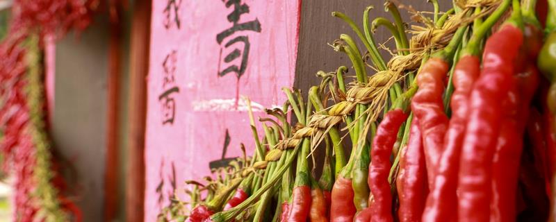 如何防治辣椒病毒病
