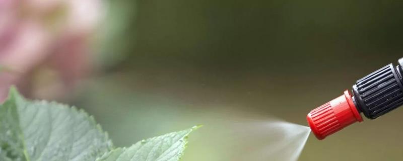 避蚊胺对猫有害吗