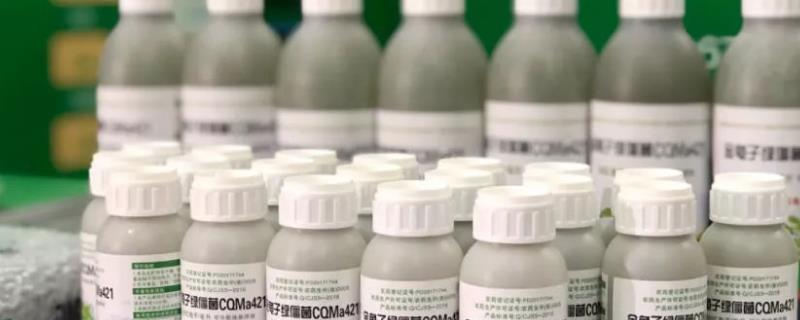 生物农药施用注意事项