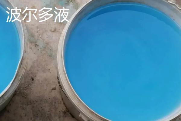 波尔多液和石硫合剂的区别，波尔多液主要用来预防浸染性病害