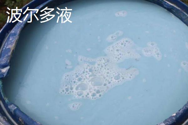 波尔多液和石硫合剂的区别，波尔多液主要用来预防浸染性病害