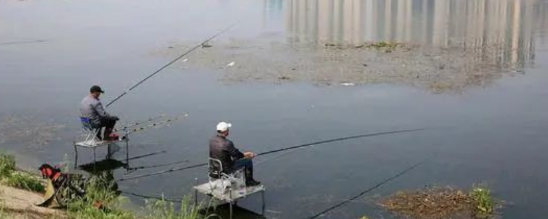春天钓鱼用什么饵料