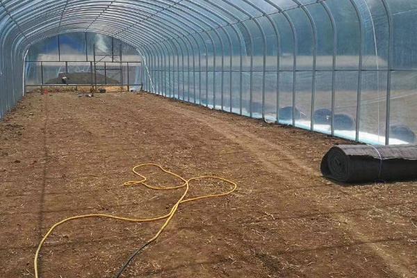 如何合理搭建鸽棚，需选择背风向阳的位置作为搭建地点
