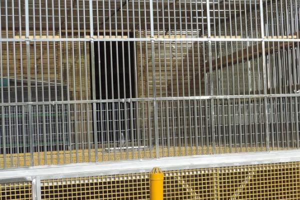 如何合理搭建鸽棚，需选择背风向阳的位置作为搭建地点