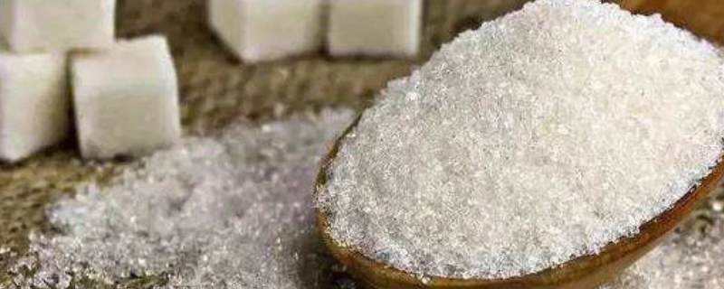 白糖里有蚂蚁还能吃吗