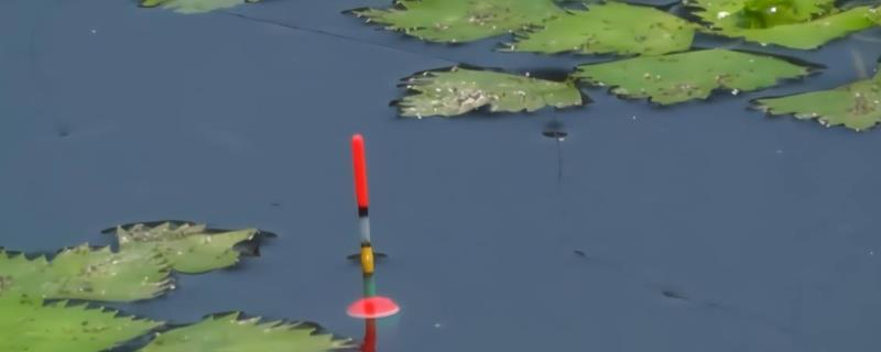 钓鱼浮漂吃铅程度