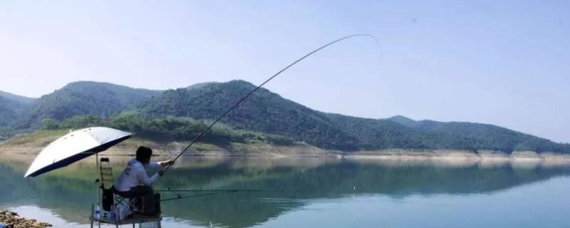 初春东南风适合钓鱼吗