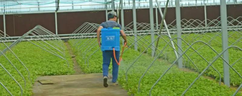 使用农药助剂的注意事项