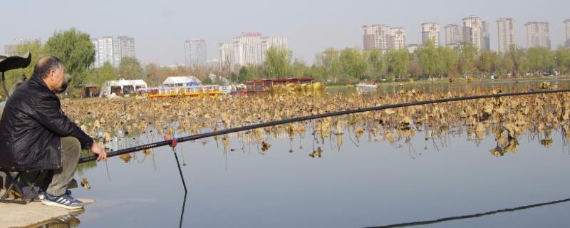 什么鱼竿比较常用