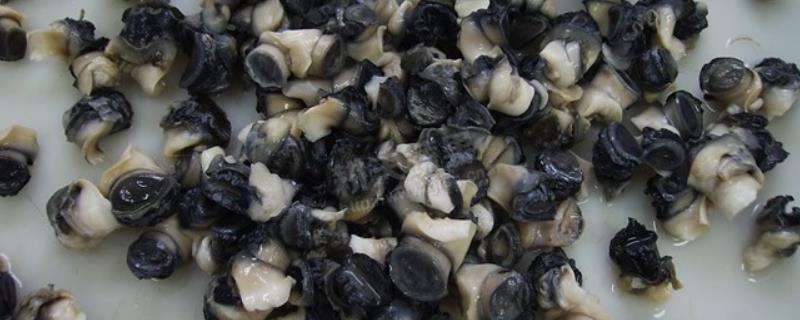 螺肉钓鱼的效果