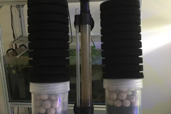 鱼缸过滤仓能否长期放置蛋白棉，长时间放置容易堵塞进水口