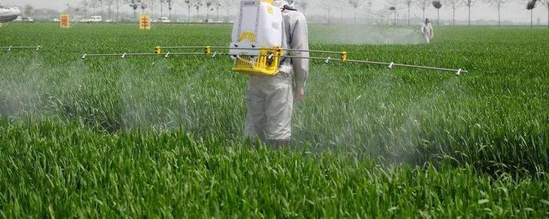 肟菌戊唑醇使用方法