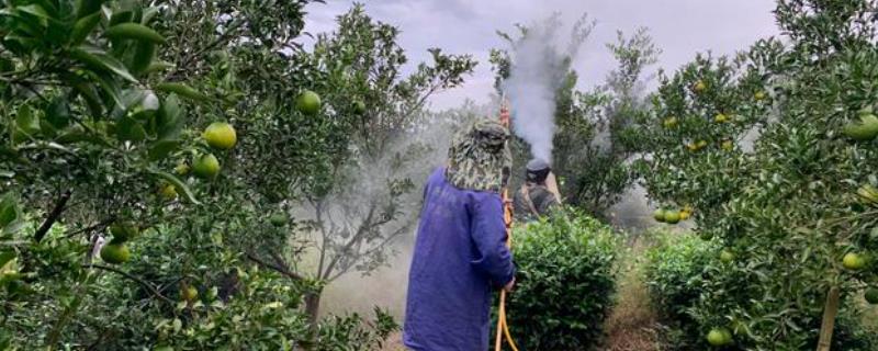 如何掌握克螨特的使用浓度