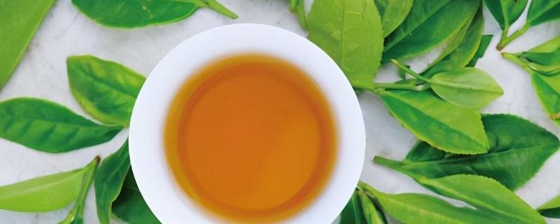 漳平水仙茶属于什么茶