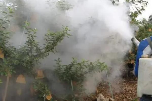 井冈霉素对果树的作用，是内吸性很强的杀菌剂
