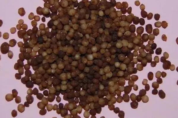 选择生物肥的技巧，有登记证号的产品质量更好