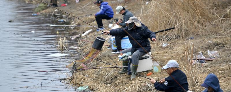 3月份钓深还是钓浅
