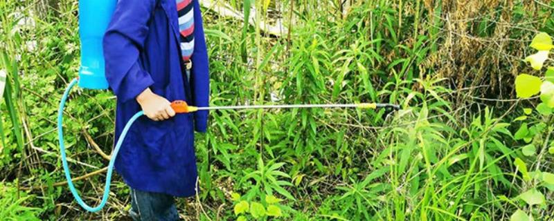 使用百草枯的注意事项