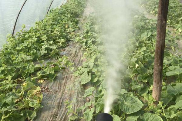 施田补除草剂的用法，兑水稀释后可在田间喷雾