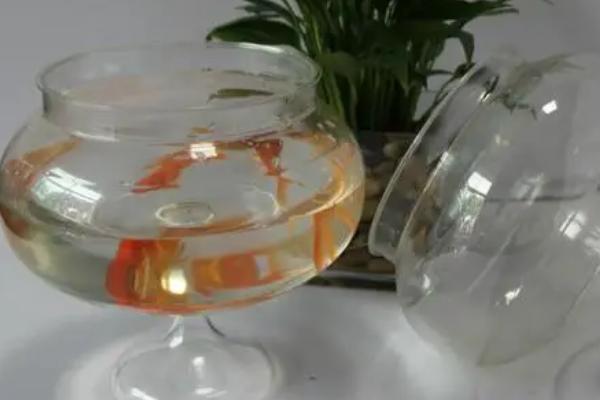 塑料鱼缸能否养鱼，可以饲养但透明度不佳