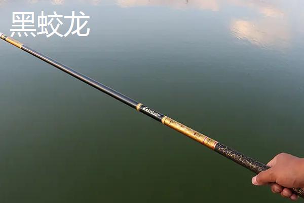 黑坑钓鱼用什么小药，可以依据季节决定