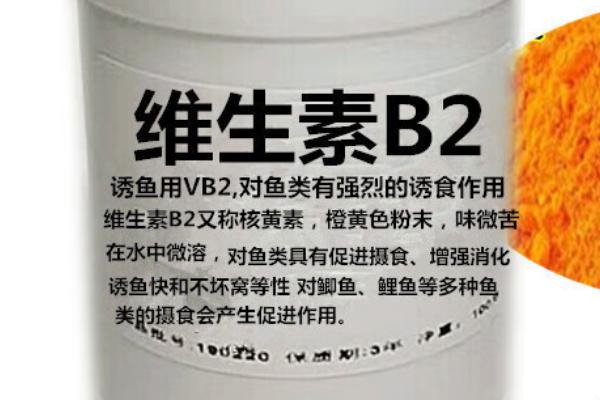 黑坑钓鱼用什么小药，可以依据季节决定