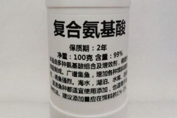 黑坑钓鱼用什么小药，可以依据季节决定