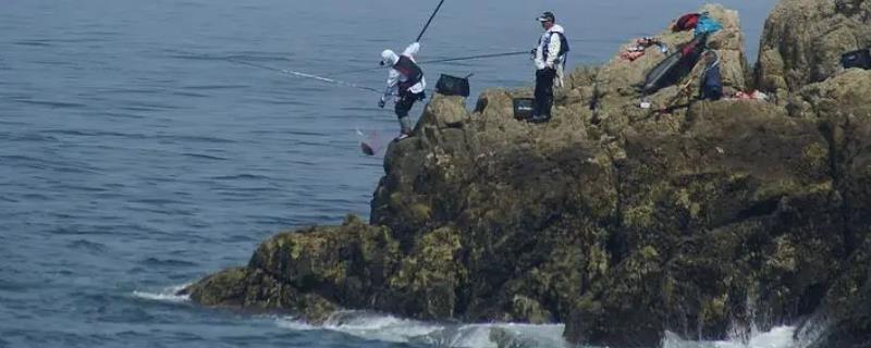 岸边海钓什么时候合适