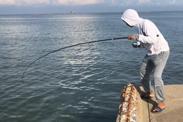 岸边海钓什么时候合适，早上和傍晚的鱼容易开口