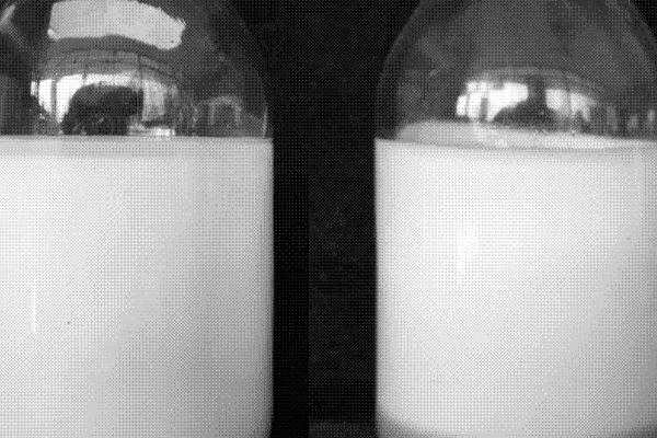 怎么判断可湿性粉剂和乳剂农药已经失效，药粉结块、药剂浑浊有沉淀便表示已经失效