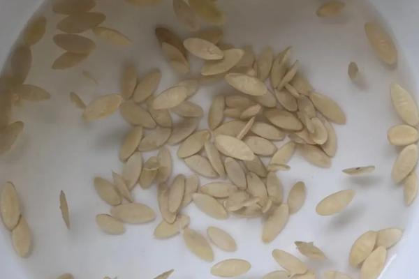 怎么判断可湿性粉剂和乳剂农药已经失效，药粉结块、药剂浑浊有沉淀便表示已经失效