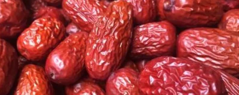 红枣盛夏管理要点
