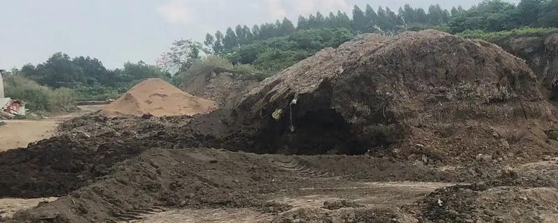 羊粪的发酵方法