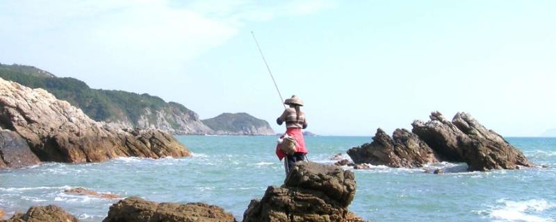 近海钓鱼所用线组