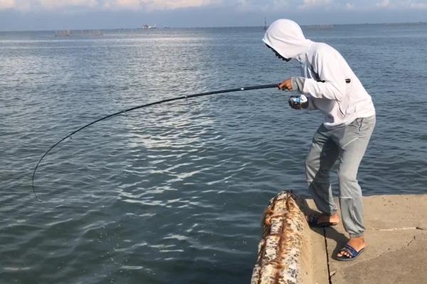 近海钓鱼所用线组，尼龙线、PE线均可使用