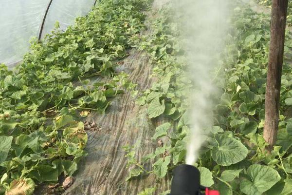 除草剂混用技巧，灭杀草谱必须不同