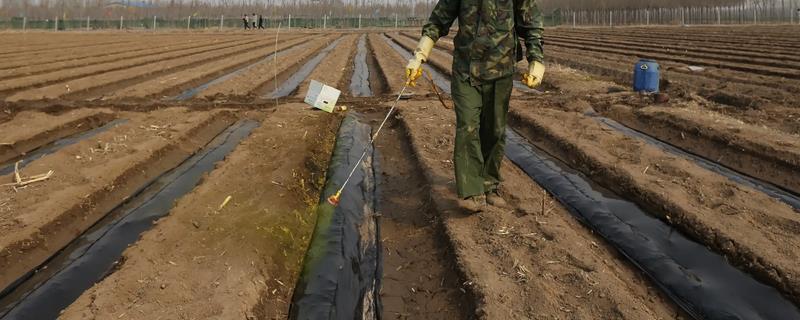 劣质农药鉴别方法