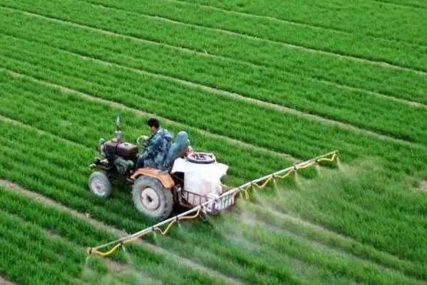 生物肥的巧妙用法，结合化肥一起使用可活化土层、调节养分