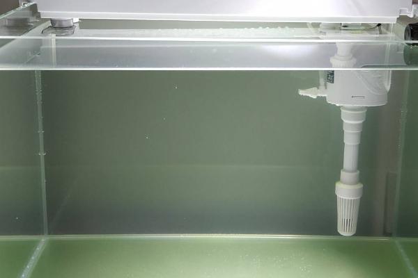 鱼缸1.2米要用多大的氧气泵，功率最低一般要达到5瓦