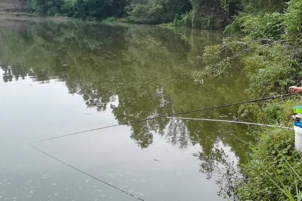 野钓跑铅钓法的效果，效果良好但并不适用于所有场景