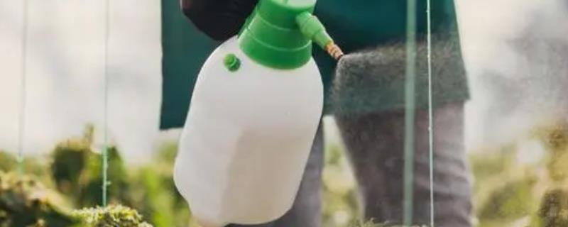 苄嘧磺隆的作用