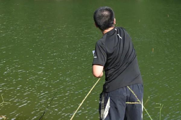 钓鱼是否要打窝，主要取决于个人意愿