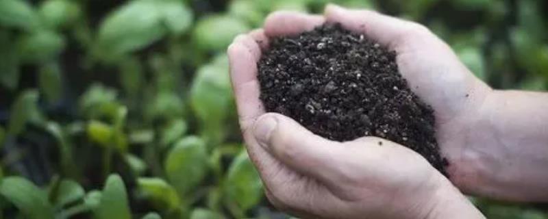 选用微生物肥料的方法