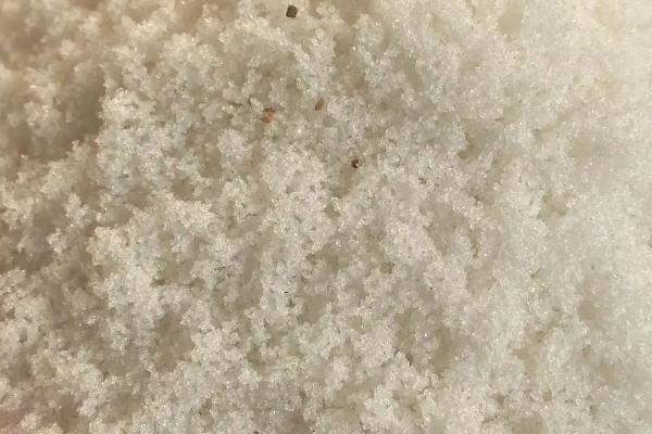 100克饵料放多少甜菜碱，通常只需放0.5克