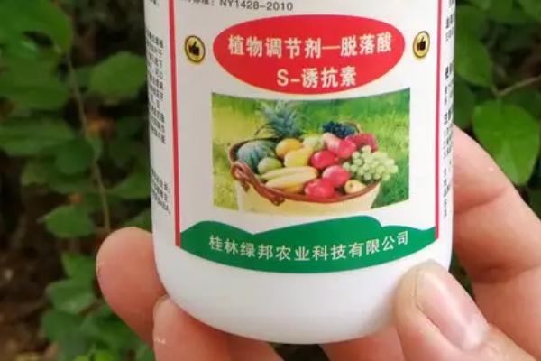 植物调节剂施用注意事项，这4点需留心