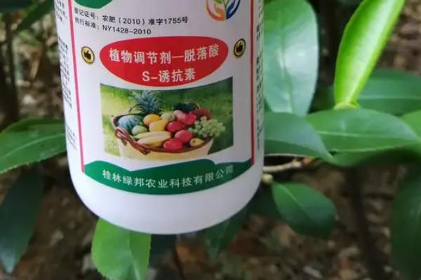 植物调节剂施用注意事项，这4点需留心